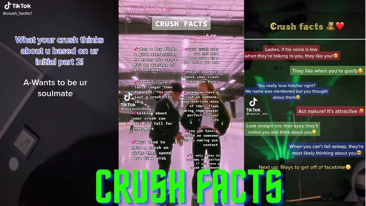 Crush Facts TikTok Compilations ✨