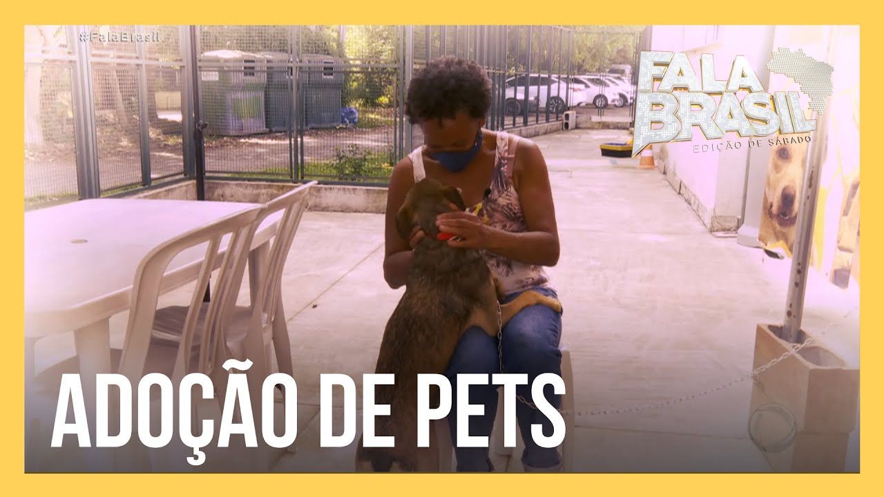 Espaço para adoção de pets reabre em São Paulo após dois anos