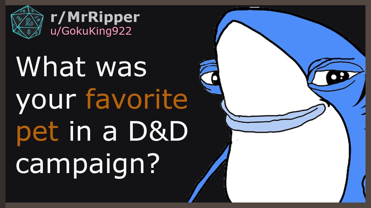 What was your favorite and/or weirdest pet in a D&D campaign?