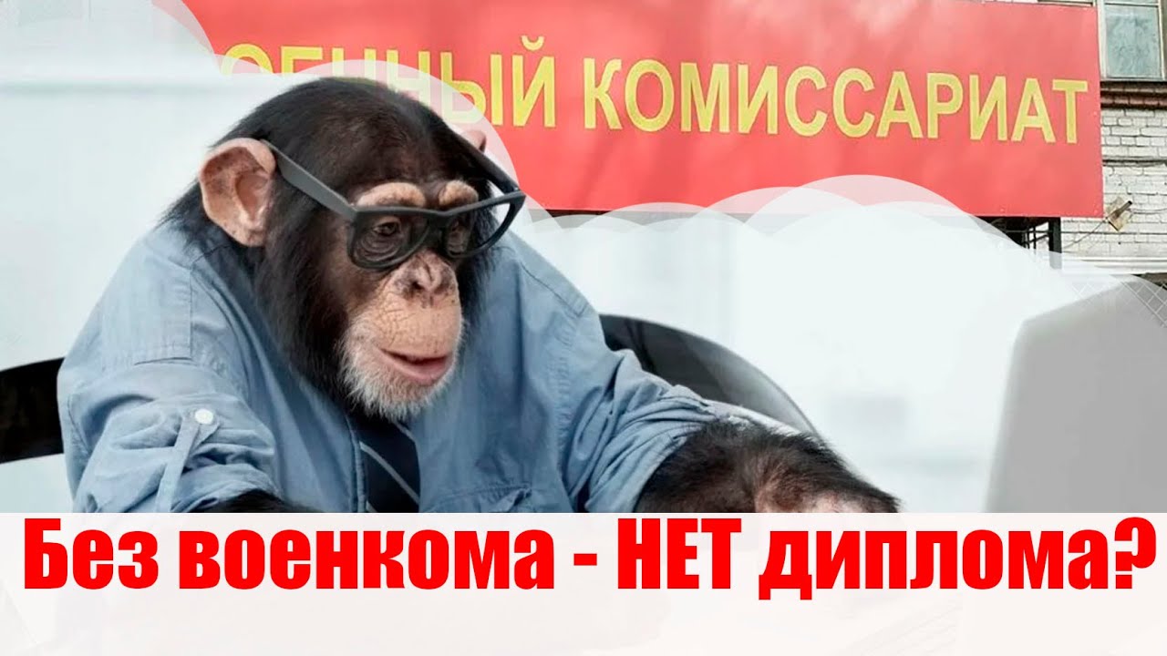 Без военкомата теперь не получить диплома? Студент зависит от военкомата? Или НЕТ?