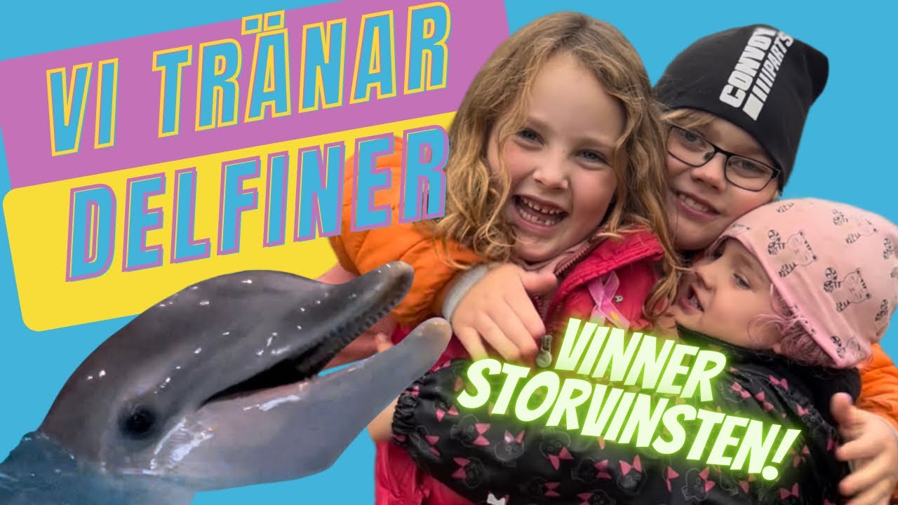 Exklusiv guidning i DELFINARIET och HALLOWEEN på Kolmården. VLOGG