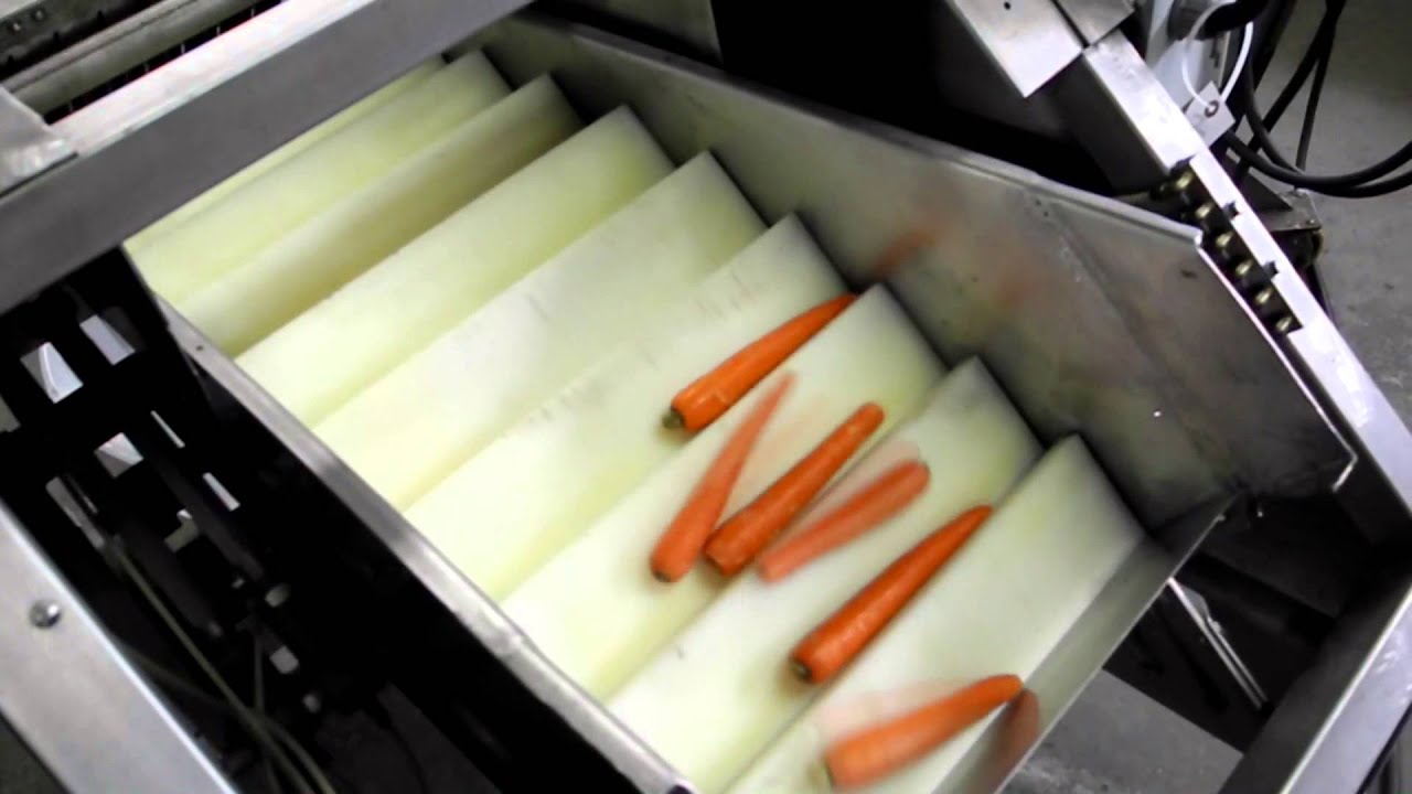 Magnuson Shufflo cutting CARROTS, Y0402