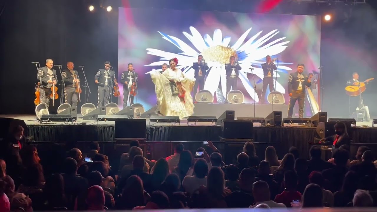 Viva Veracruz 1 mariachi Vargas de tecalitlan en Tijuana