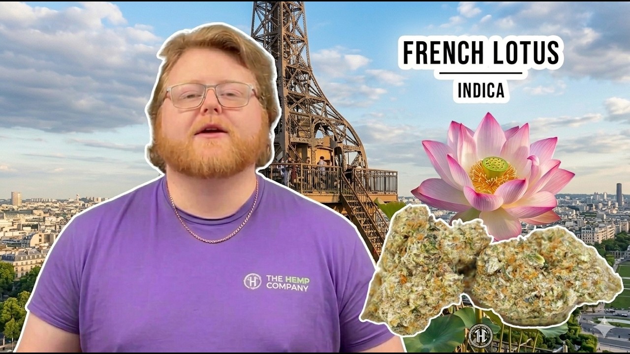 Обзор сорта French Lotus: ощущение, будто плывешь по реке.