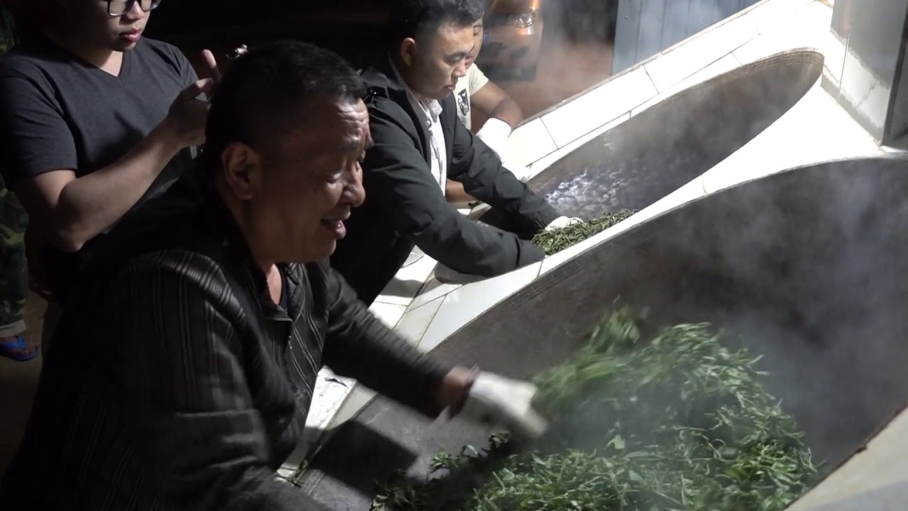 高檔茶好喝的重要關鍵之一，在於炒茶師的好手藝！（炒茶實戰錄P2）【藝寶堂台灣張哥】