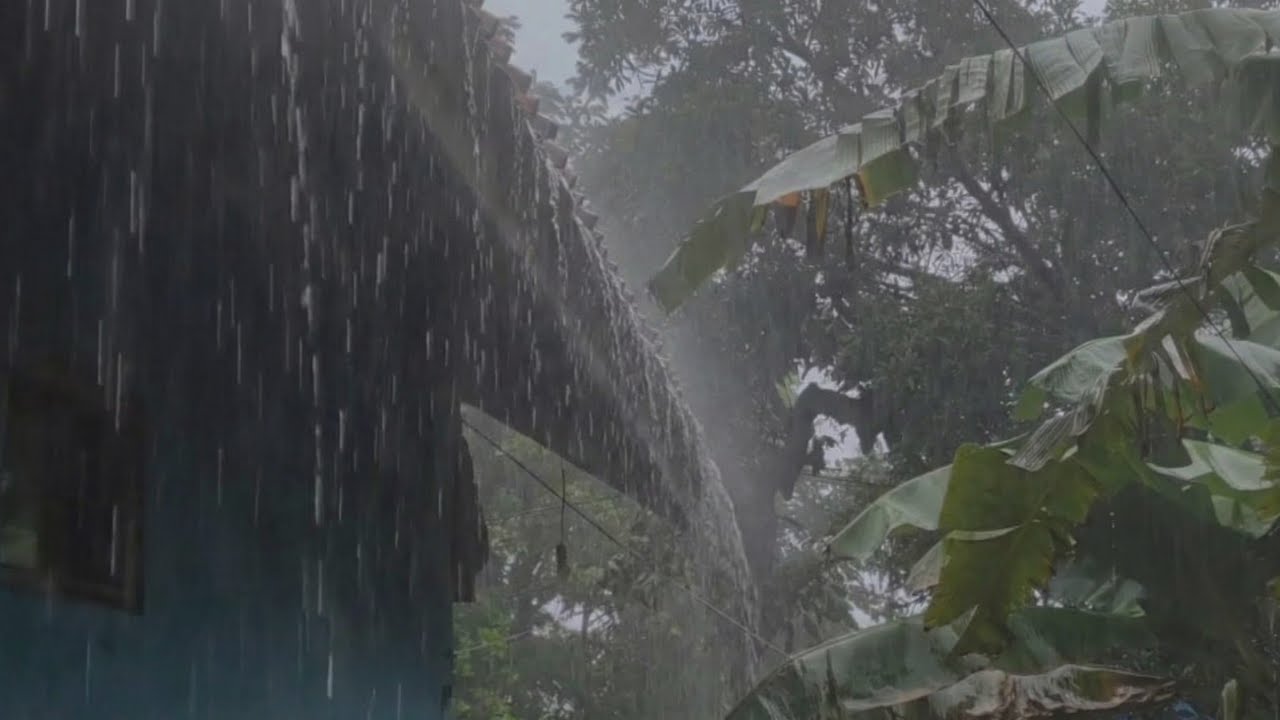 Heavy Rain Sounds Help You Fall Asleep Quickly | Rain Sounds for Sleep