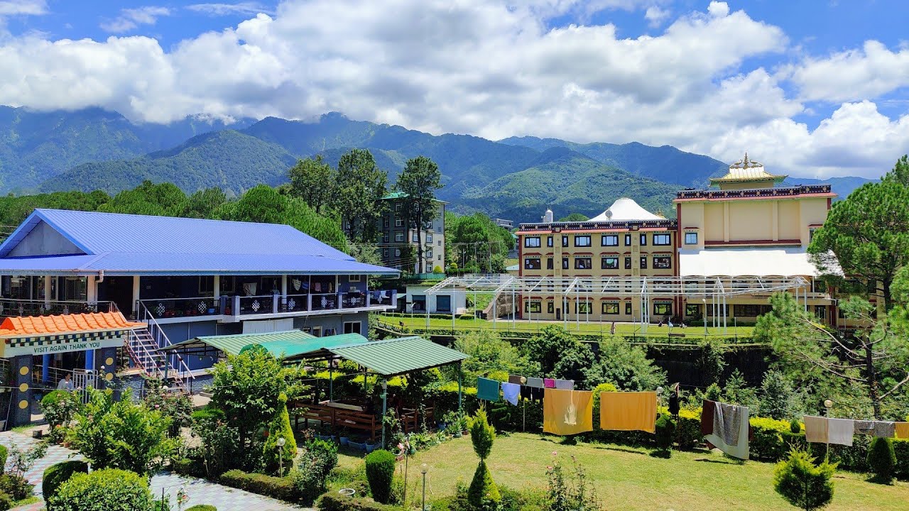 The Stupa Guest House | Bhattu | Tibetan 🏨Hotel| @wanderwithspectre