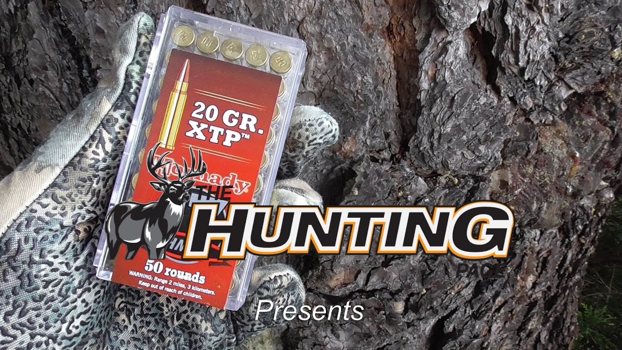 THE HUNTING PAGE: Hornady's Little 17 Slugger!