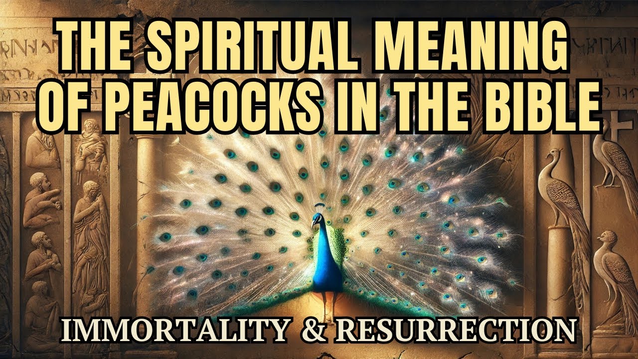 The Spiritual Meaning of Peacocks in the Bible - Immortality & Resurrection