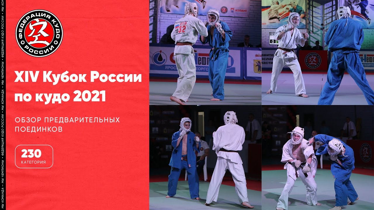 XIV Кубок России по кудо - обзор предварительных поединков в категории 230 ед.