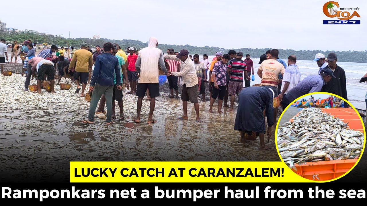 Lucky catch at Caranzalem! Ramponkars net a bumper haul from the sea