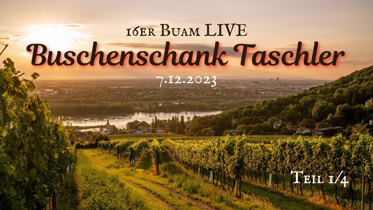 16er Buam Wienerlied Live beim Taschler am 7.12.2023 Teil 1/4