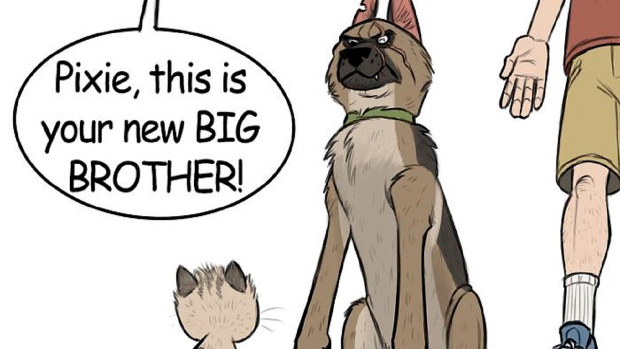 Hilariously Adorable Comics About Brutus And Pixie Will Instantly Make Your Day