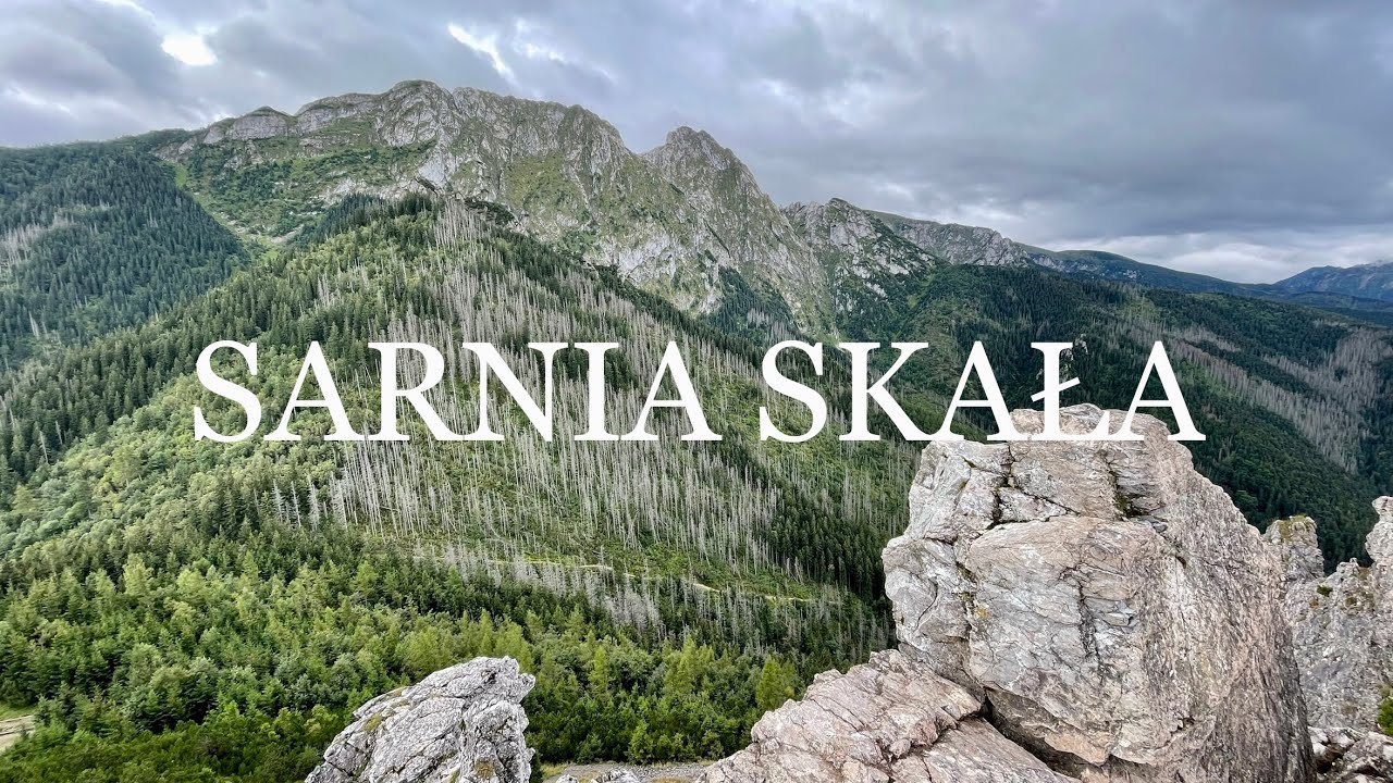 [4k] Sarnia skała 1377 m n.p.m. - cała trasa na szczyt ( timelapse )