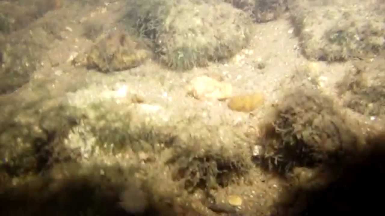 Plongée pour prélèvement d'eau dans le gouffre de l'Ile Charlemagne (Orléans)