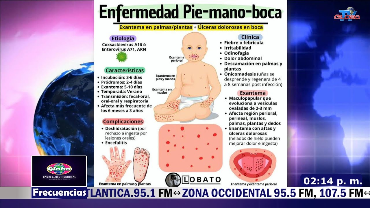 AGENDA Y OPINIÓN 30 DE ENERO DEL 2026