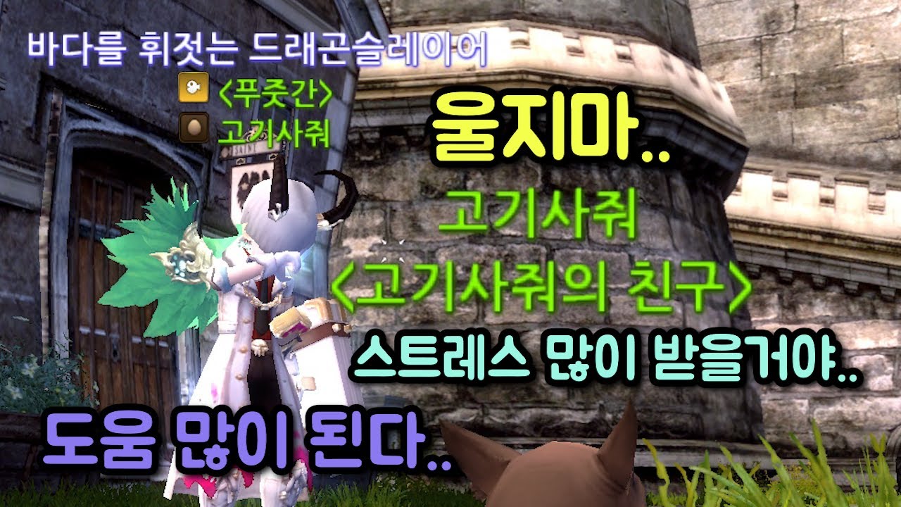 드래곤네스트클래식 씨드래곤 네스트 외곽 + 코어 공략 (팔라딘 편)