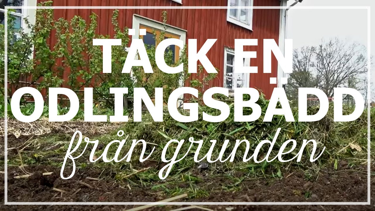 Täck en odlingsbädd från grunden
