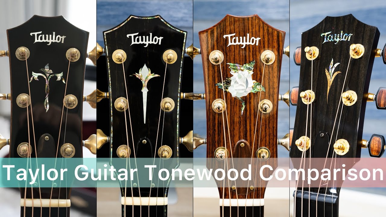 Rosewood Vs Cocobolo Vs Brazilian Vs Bocote｜Taylor Guitar Comparison
