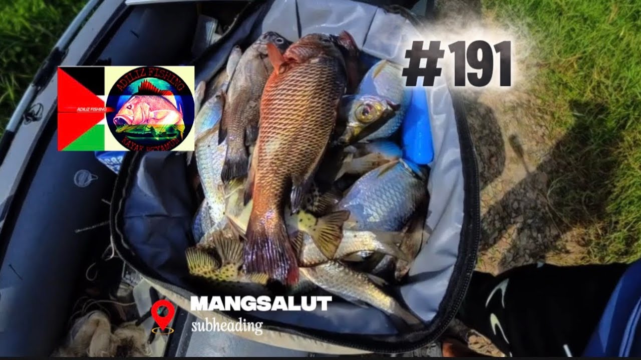 mangsalut merambat dan pancing #191