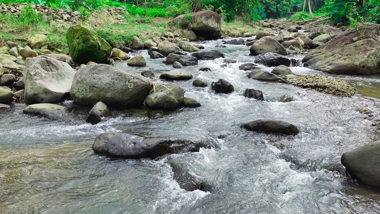 Real Outdoor River Ambience | Sleep & Study | Cinematic ASMR Nature Sounds