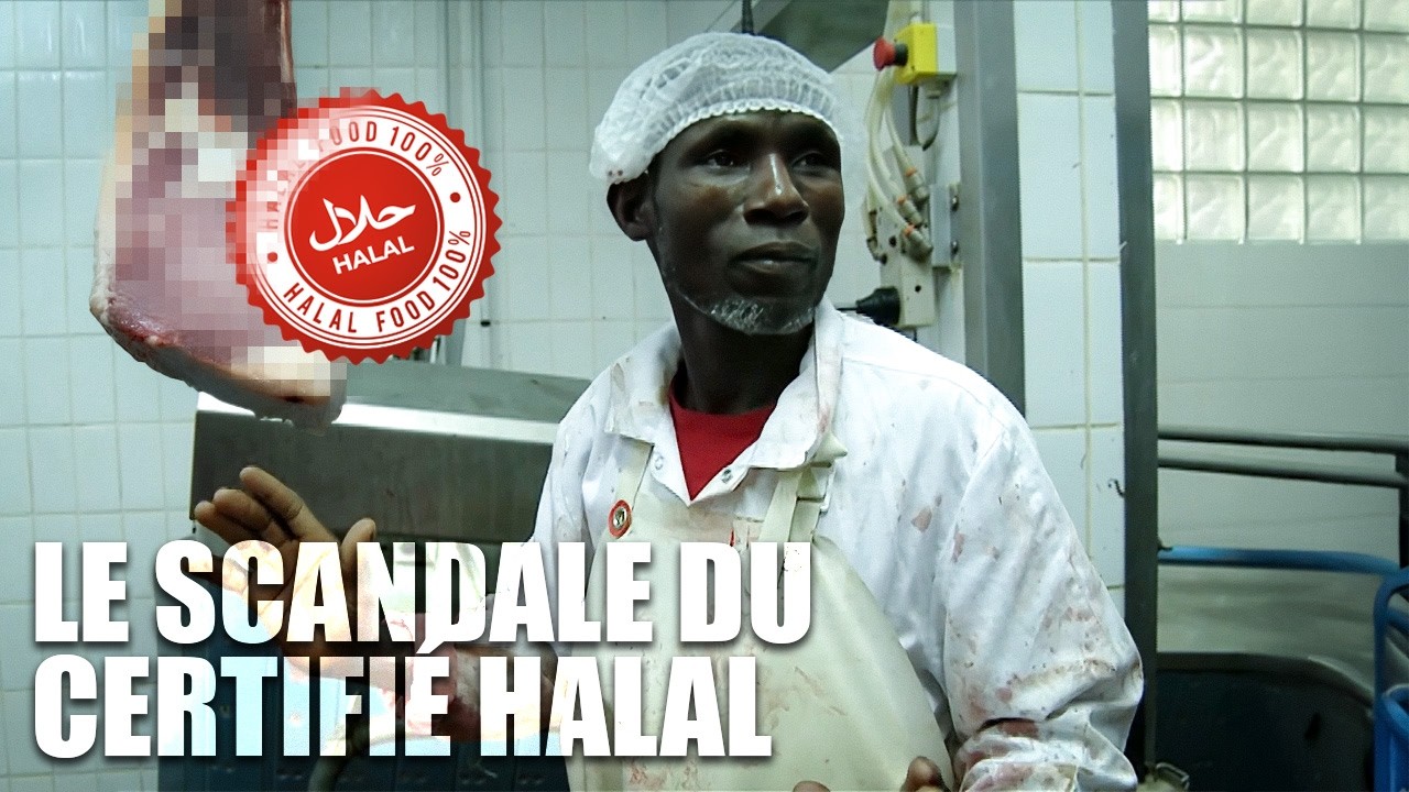 HALAL en France: révélations sur un marché opaque
