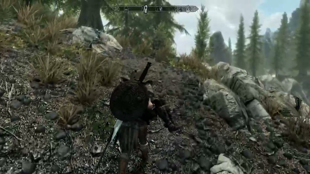 When I follow Rose to carry injured girl to the boat,I run into Ashe.Skyrim mod.