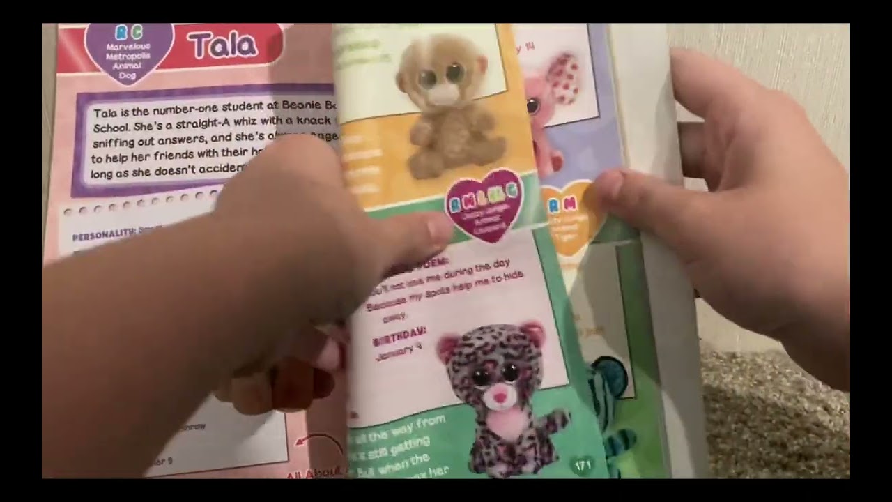 Beanie boo book✨ Collectors guide✨￼