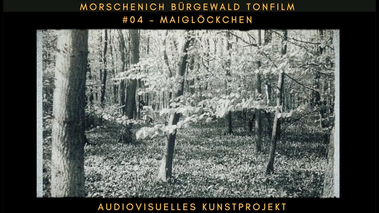 Morschenich Bürgewald Tonfilm #04 – Maiglöckchen | Audiovisuelles Kunstprojekt