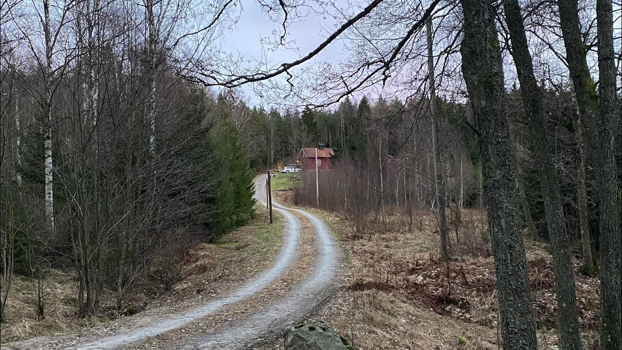 Återskapa gammal naturbetesmark del 1.
