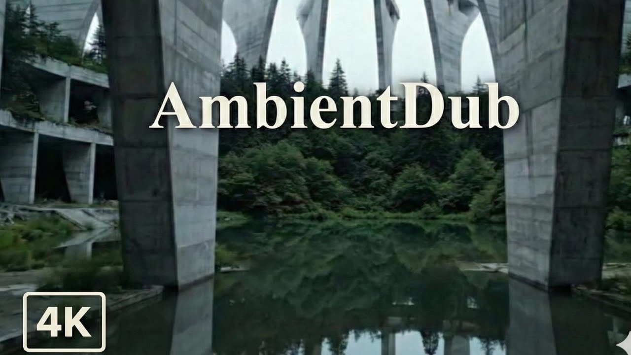 Dense Matter | 1 hour mix 4k HQ Dub Techno