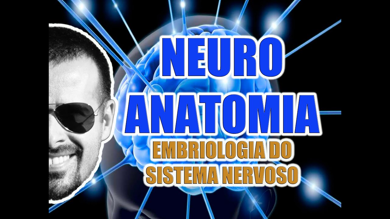 Embriologia do Sistema Nervoso Central e Perif&eacute;rico - Neuroanatomia - VideoAula 069