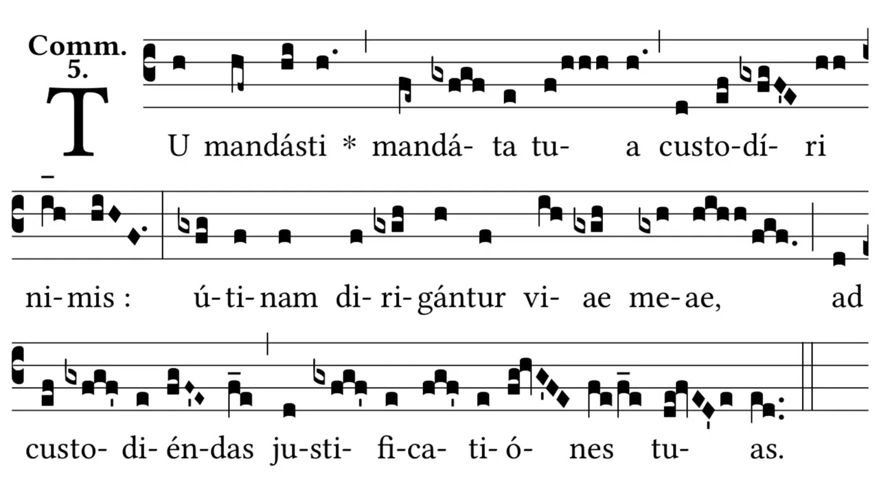 Tu mandasti : Communion Antiphon 27th Sunday Ordinary Time / 19th after Pentecost