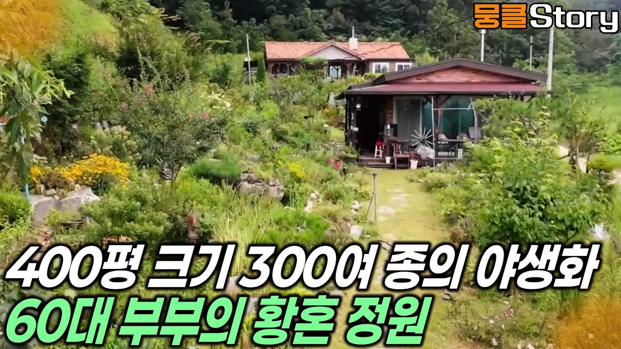 황무지가 야생화 정원으로! 평생의 소원을 이룬 부부를 찾아가보니 [KBS 20221007 방송]