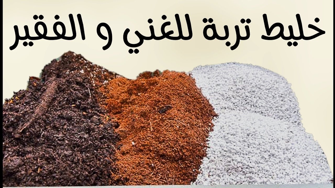 أفضل خليط تربة صالحة للزراعة في المنزل لزراعة الخضر والأشجار ونباتات الزينة