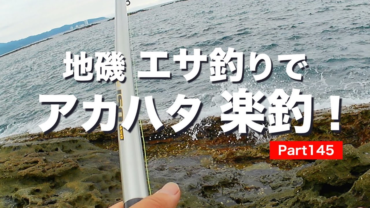 【ブッコミ釣り】アカハタ美味し過ぎです…🍲 Part 145 #和歌山釣り#ブッコミ釣り#アカハタ
