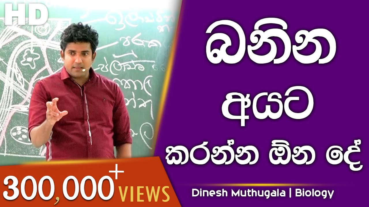 බනින අයට කරන්න ඕන දේ | Dinesh Muthugala | පැය 6ක බයෝ පන්තියේ ජීවිතේ කියාදෙන විනාඩි 12