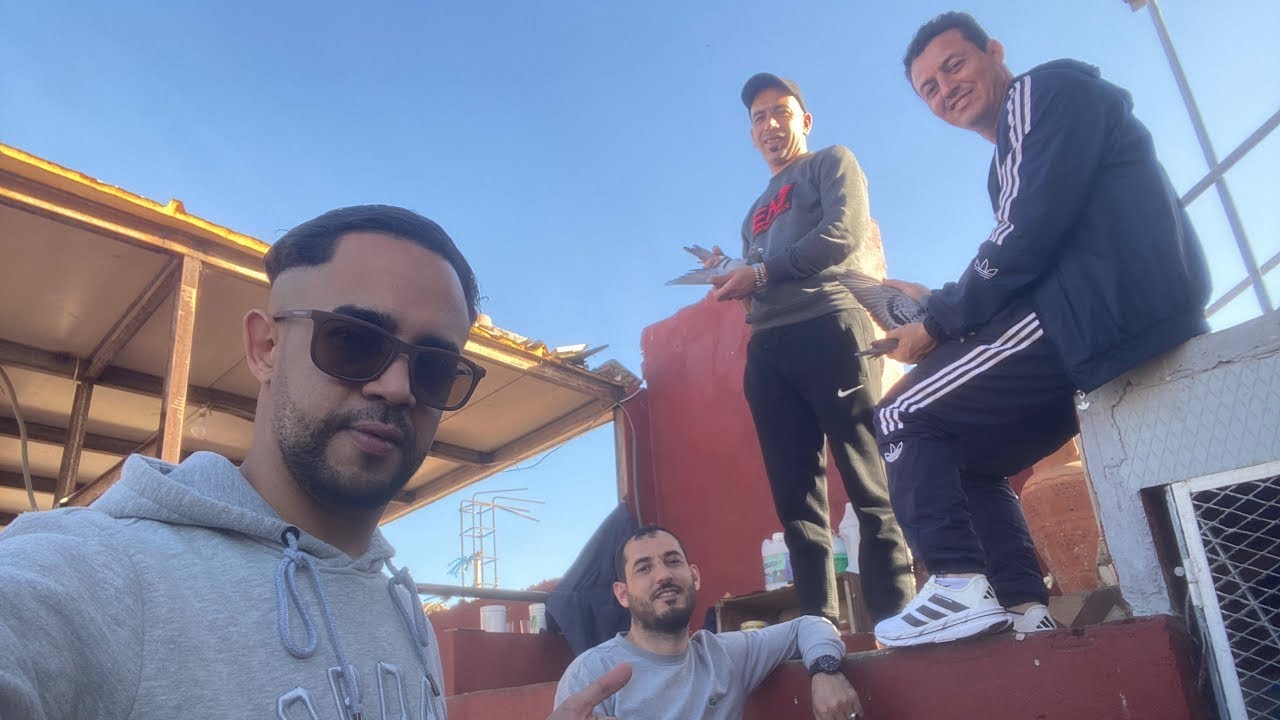 سلسلة التعريف بالسلالات🥇🏆 مع الطونديم الخلوق👈🏻 شهدون | العزيف🧨💥212661063997+📞