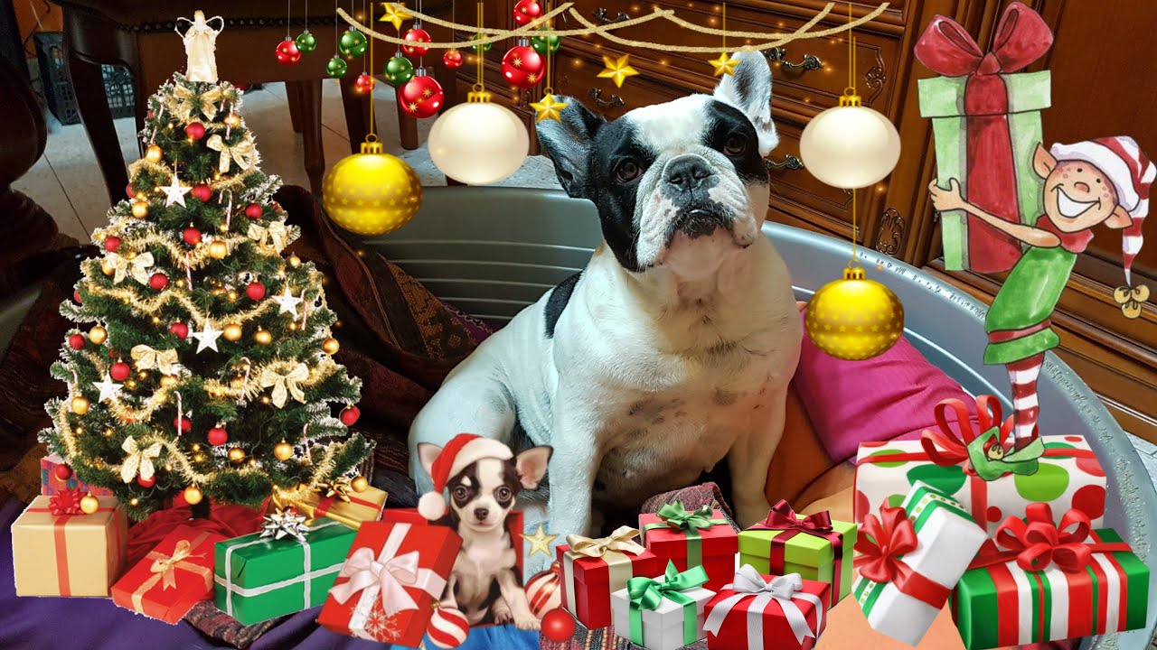 🎄🎀La Magia di Natale 🎀🎄