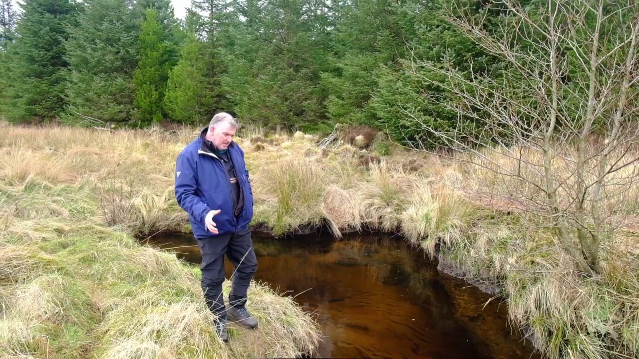 Ayrshire Rivers Trust: The Impacts of Plantation Forestry on Brown Trout.
