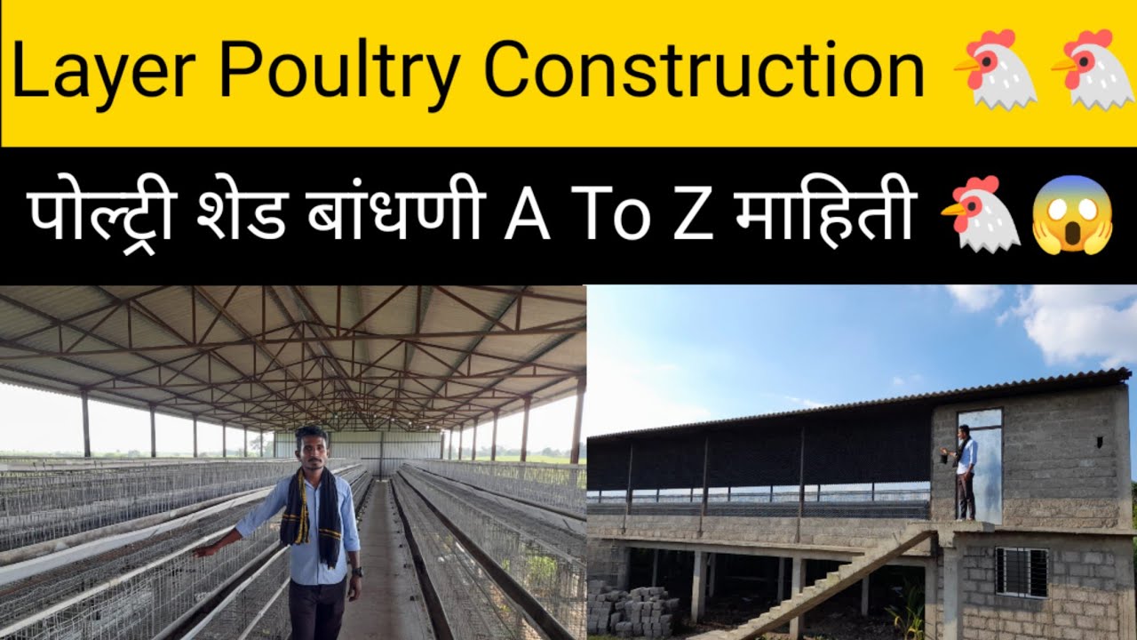 अंडी देणाऱ्या कोंबड्यांच्या पोल्ट्री फार्मची  उभारणी 🤔🐔 | Layer Poultry Farm Construction