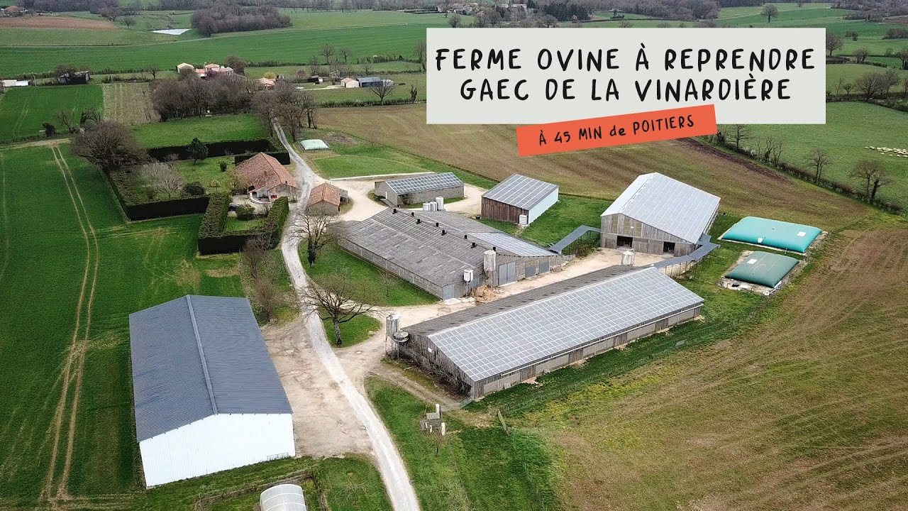 Ferme ovine à reprendre dans le Poitou-Charentes - Gaec de La Vinardière