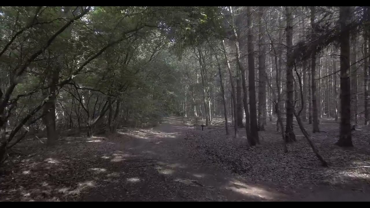 DJI Phantom 4 - Drone flight @ Ees, Drenthe, Netherlands, July 30 2022