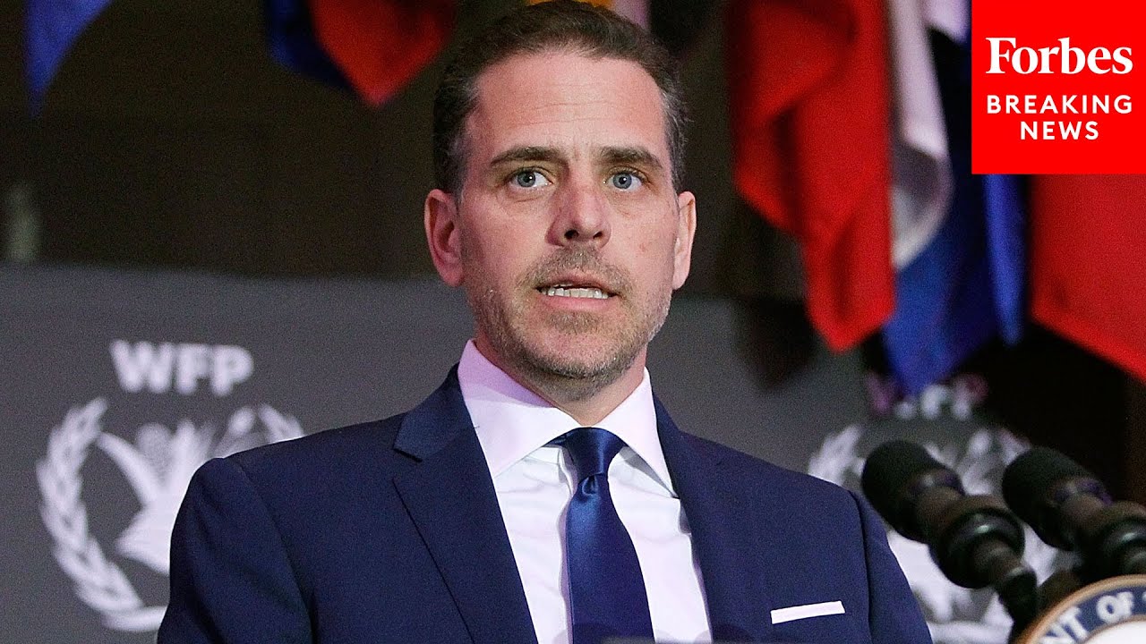 GOP Lawmaker: 'Once Joe Biden Gets In The White House, Suddenly Hunter Biden's An Artist'