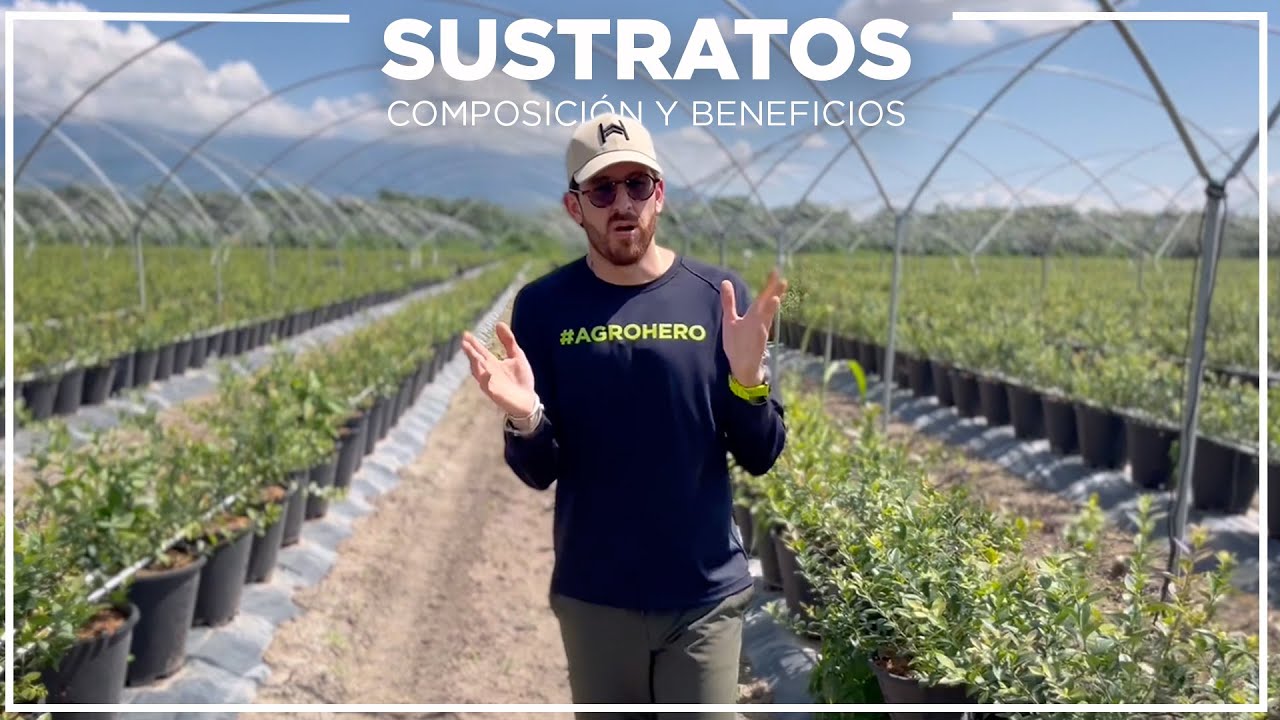 SUSTRATOS DE FIBRA DE COCO: su composici&oacute;n y beneficios 🙌