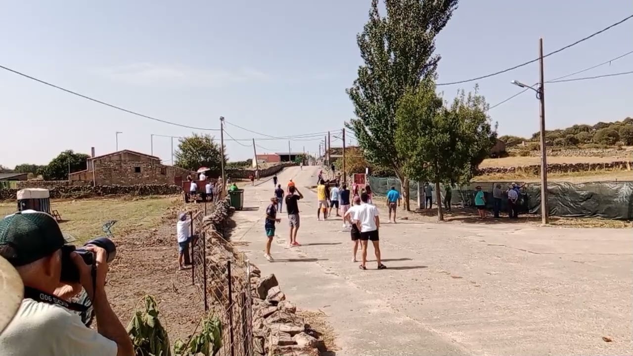 ENCIERRO EN FUENTES DE OÑORO 2025 EN HONOR A LA VIRGEN DE LA ASUNCION