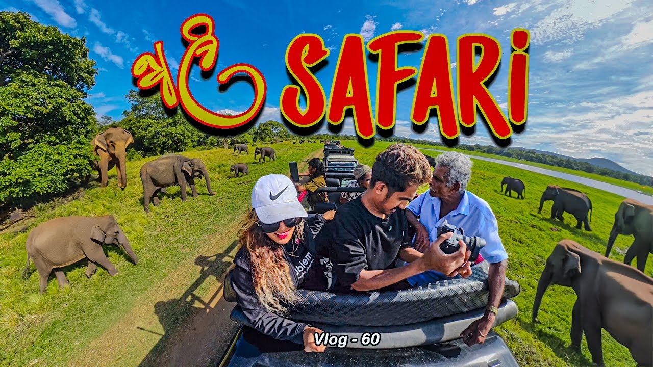 Elephant safary 🐘 Minneriya National Park 🌳🏞️