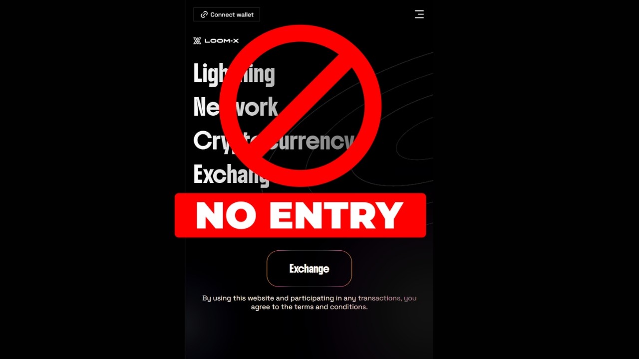 ⚠️ Loom-X Exit Strategy? LMX Coin Swap Raises Major Red Flags