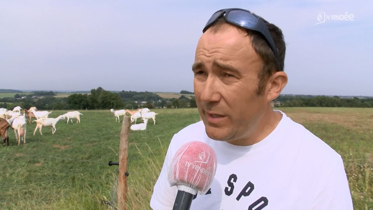 4e &eacute;dition de la f&ecirc;te de la ch&egrave;vre ce dimanche &agrave; La Tardi&egrave;re