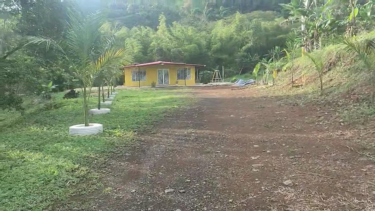 Esta Finca SE VENDE